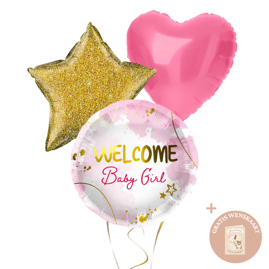 Welcome Baby Girl Trio